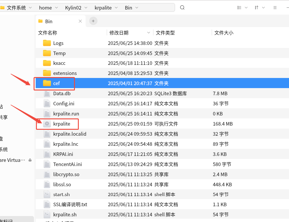 cef 文件位置
